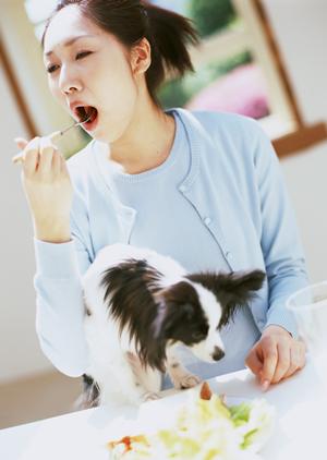 ペットの滑り止めが大切な理由と対処法