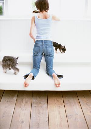 シロアリ駆除のスペシャリスト｜アサンテで安心の害虫対策と無料診断